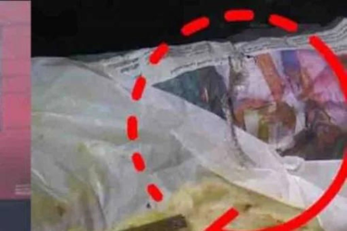 धक्कादायक! ऑर्डर केलेल्या पराठ्यामध्ये आढळली सापाची कात, हॉटेलवर कारवाई