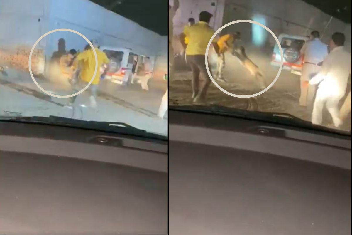 बचावासाठी गेलेल्या पथकावरच बिबट्याचा प्राणघातक हल्ला; काळजाचा ठोका चुकवणारा VIDEO