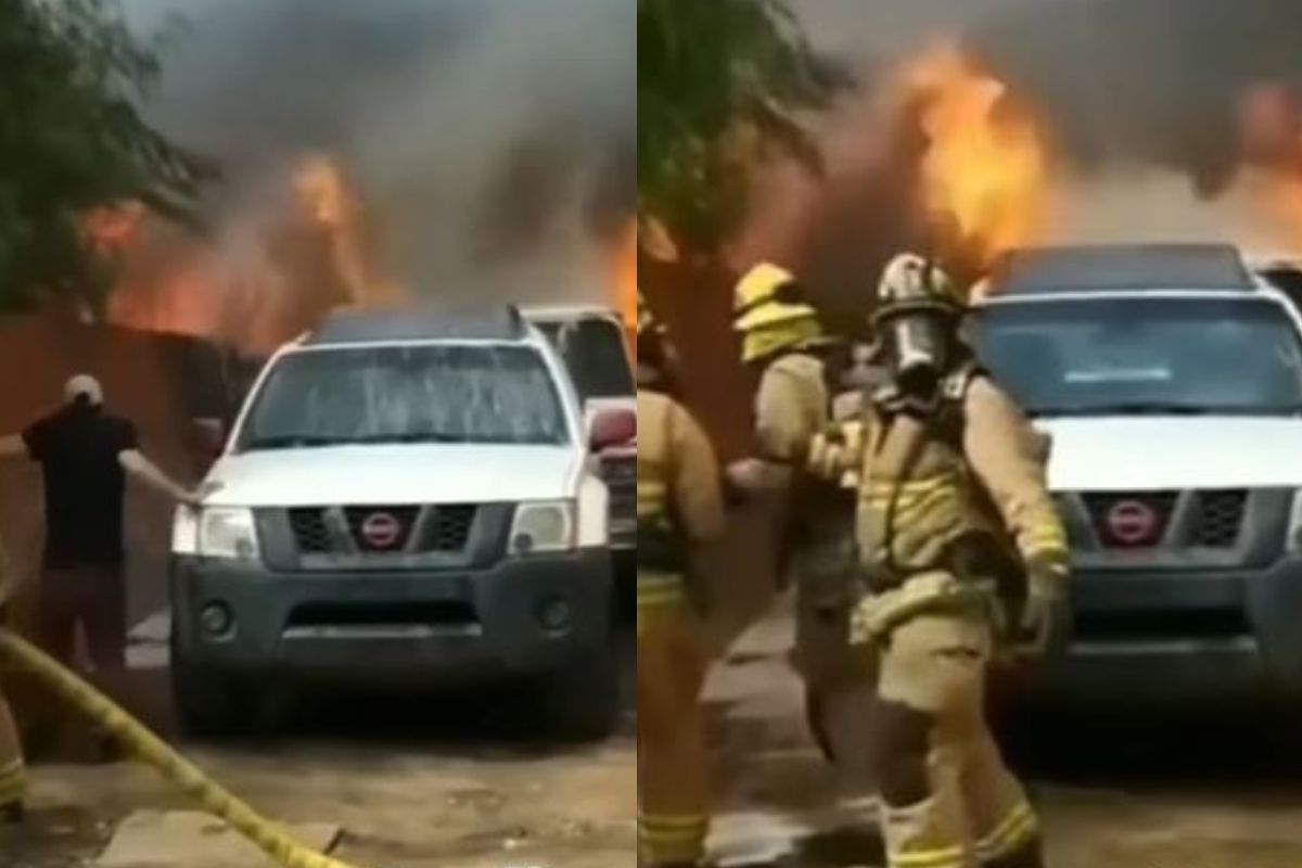 श्वानाला वाचवण्यासाठी स्वतःचा जीव घातला धोक्यात; धगधगत्या आगीत घेतली उडी, धक्कादायक VIDEO