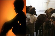 पुणे : मुलाला 2 वर्ष कुत्र्यांसोबत कोंडलं; बाहेर येताच श्वानांप्रमाणे वागू लागला पुणे : मुलाला 2 वर्ष कुत्र्यांसोबत कोंडलं; बाहेर येताच श्वानांप्रमाणे वागू लागला