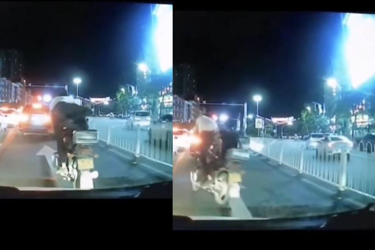 धावत्या दुचाकीवर रस्त्यातच दोघांनी केली जागांची अदलाबदल; VIDEO पाहून घालाल तोंडात बोटं