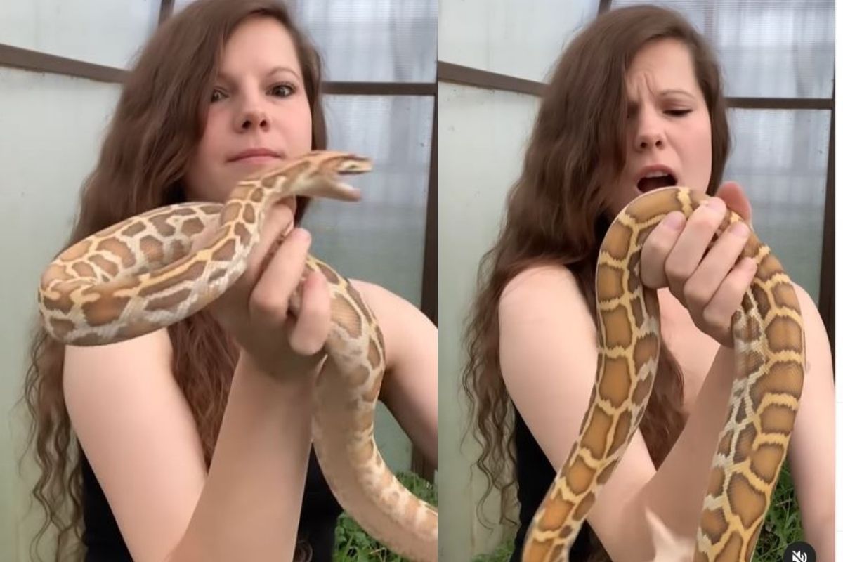 मस्ती करणं तरुणीला भोवलं; चवताळलेल्या सापाने अचानक केला हल्ला, थरकाप उडवणारा VIDEO