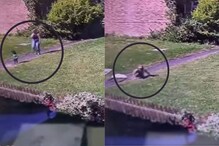 20 फूट खोल नाल्यात कोसळला चिमुकला; बचावासाठी आईनेही घेतली उडी अन्.., VIDEO 20 फूट खोल नाल्यात कोसळला चिमुकला; बचावासाठी आईनेही घेतली उडी अन्.., VIDEO