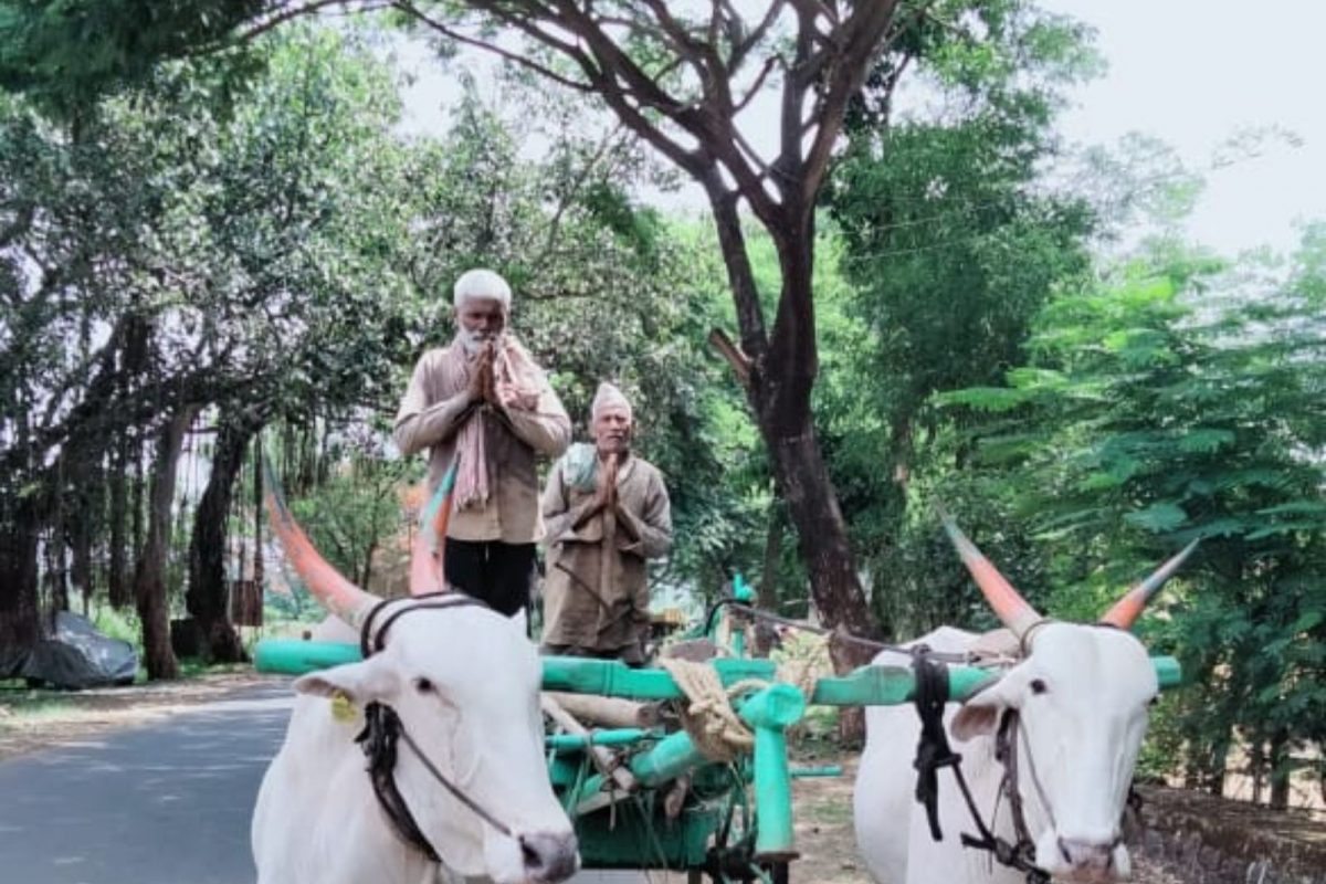 shahu maharaj : राजर्षी छत्रपती शाहूंना बळीराजाकडून अभिवादन, थेट शेतातून कृतज्ञता केली व्यक्त
