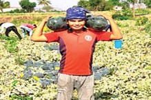 कोरोनाच्या दुसऱ्या लाटेत सगळचं गमावलेल्या युवा शेतकऱ्याने केली शेतीत क्रांती कोरोनाच्या दुसऱ्या लाटेत सगळचं गमावलेल्या युवा शेतकऱ्याने केली शेतीत क्रांती