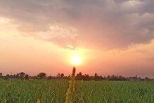 Sugarcane crop management : ऊस शेती फायद्यात येण्यासाठी हे कराच