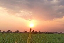 Sugarcane crop management : ऊस शेती फायद्यात येण्यासाठी हे कराच Sugarcane crop management : ऊस शेती फायद्यात येण्यासाठी हे कराच