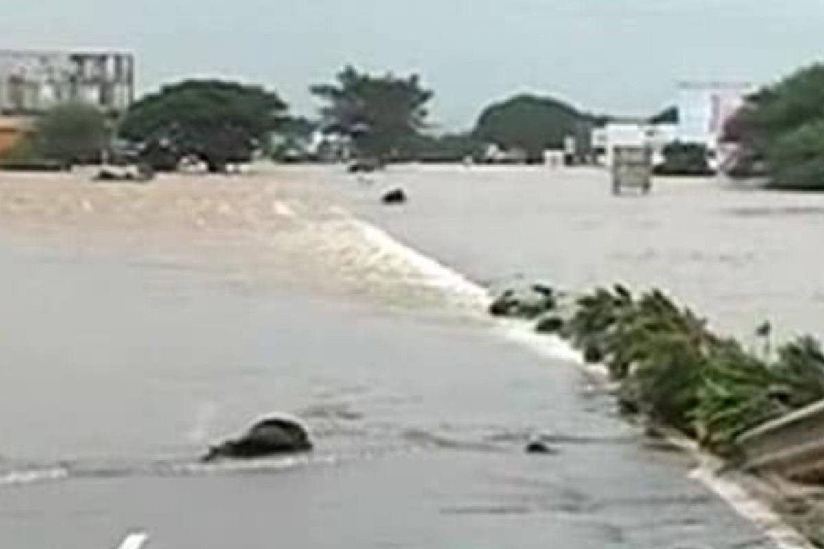 Kolhapur flood : कोल्हापूर जिल्ह्यातील पूर नियंत्रणासाठी मुंबईच्या धर्तीवर पंपिंग स्टेशनचे नियोजन करा : नीलम गोऱ्हे