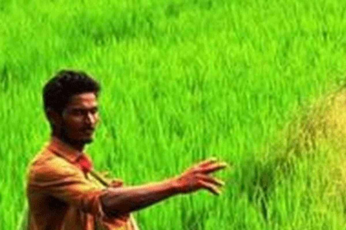 शेतकऱ्यांसाठी खुशखबर! पंतप्रधान नरेंद्र मोदी उद्या किसान सन्मान निधीचा 11 वा हप्ता जारी करतील