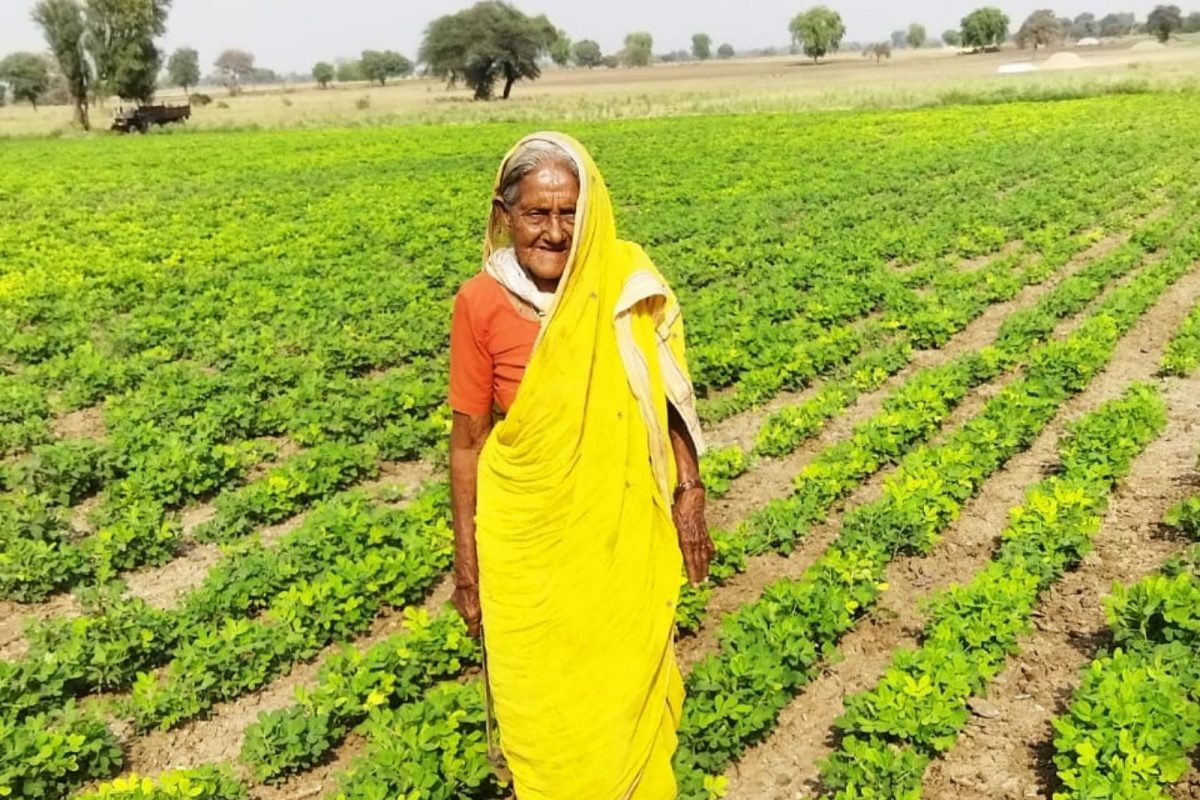 Akola farming : 84 वर्षांची आजी आजही कसते शेती, तरुण पिढीलाही लाजवणाऱ्या अकोला जिल्ह्यातील मनकर्णाबाईंची गोष्ट