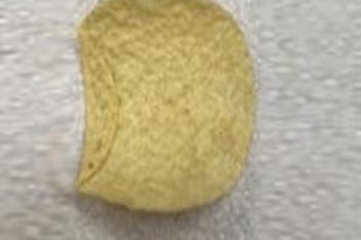 बाबो! तब्बल 1 लाख 90 हजार रुपयाला Chips चा एक तुकडा; इतकं काय आहे त्यात खास पाहा