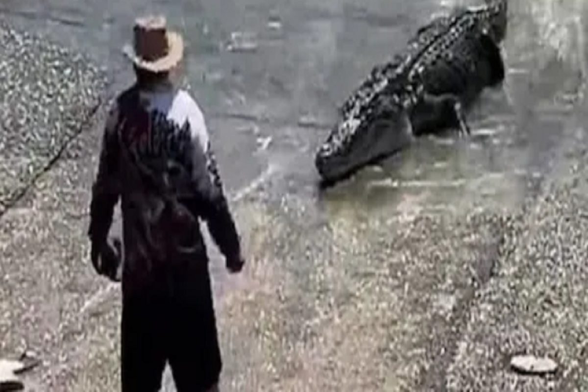 मासे पकडताना अचानक पाण्यातून बाहेर आली मगर आणि...; अंगावर काटा आणणारा VIDEO