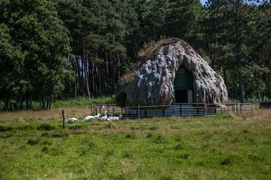 Future house | ह्या घरांचं आयुर्मान पाहुन थक्क व्हाल! सिमेंट अन् स्टीलची घरंही पडतील फिकी