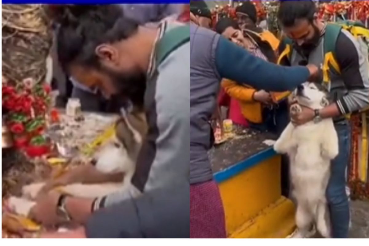 'कुत्र्याने दर्शन घेतल्यामुळे धार्मिक भावना दुखावल्या'; संतापलेल्या ब्लॉगरने मोदींनाच लिहिलं पत्र