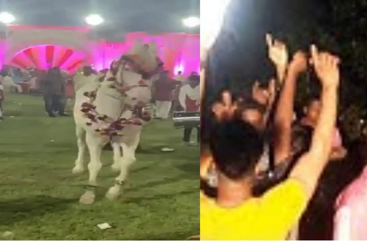 प्रातिनिधीक फोटो