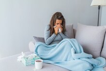 पावसाळ्यात व्हायरल, सर्दी, फ्लू सारखे आजार होतात? आहारात या गोष्टींचा समावेश करा पावसाळ्यात व्हायरल, सर्दी, फ्लू सारखे आजार होतात? आहारात या गोष्टींचा समावेश करा