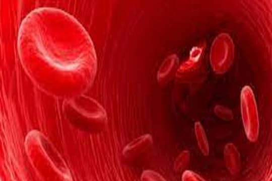 शरीरात रक्तवाढीसाठी या तीन गोष्टी ठरतील रामबाण, आहारात करा सामील