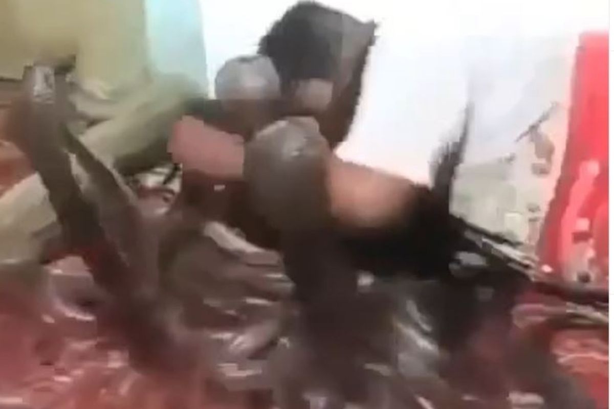 VIDEO: डझनभर विषारी कोब्रा सापांसमोर जाऊन झोपला व्यक्ती; पुढे जे घडलं ते पाहून उडेल थरकाप