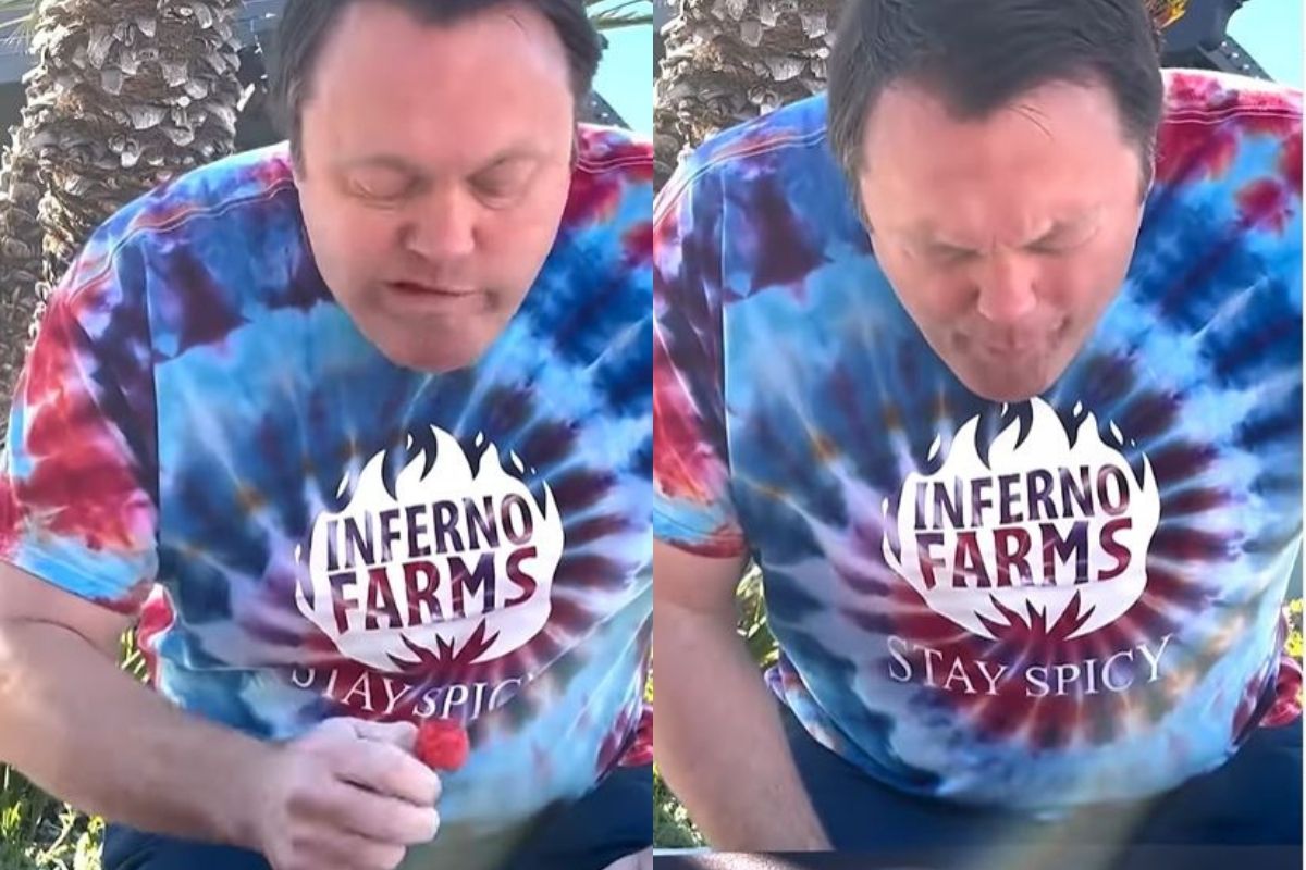 VIDEO: व्यक्तीने कॅमेऱ्यासमोर खाल्ल्या जगातील सर्वात तिखट मिरच्या; अवस्था पाहूनच अंगावर येईल काटा