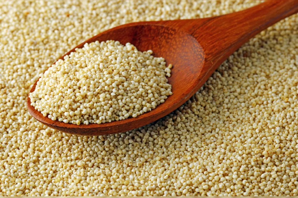 खसखस खाल्ल्यानं वजन कमी होतं का? त्यातील पोषक घटक आणि फायदे जाणून घ्या