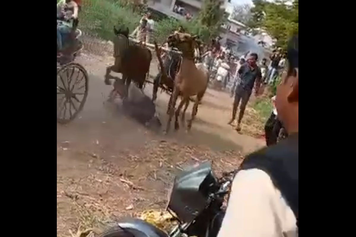 यावेळी बघ्यांची प्रचंड गर्दी असतानाही त्याच्या मदतीसाठी कोणीही पुढे येऊ शकलं नाही. कारण घोड्यांच्या गाड्यांचा वेगच तेवढा जबरदस्त होता.