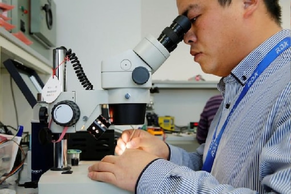 मृत व्यक्ती पुन्हा जिवंत होऊ शकते?; नव्या निष्कर्षानं बदलणार संशोधनाची दिशा