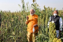 Modi@8: कृषी क्षेत्राच्या सोनेरी वाटचालीसाठी सरकार कटिबद्ध - केंद्रीय कृषीमंत्री Modi@8: कृषी क्षेत्राच्या सोनेरी वाटचालीसाठी सरकार कटिबद्ध - केंद्रीय कृषीमंत्री
