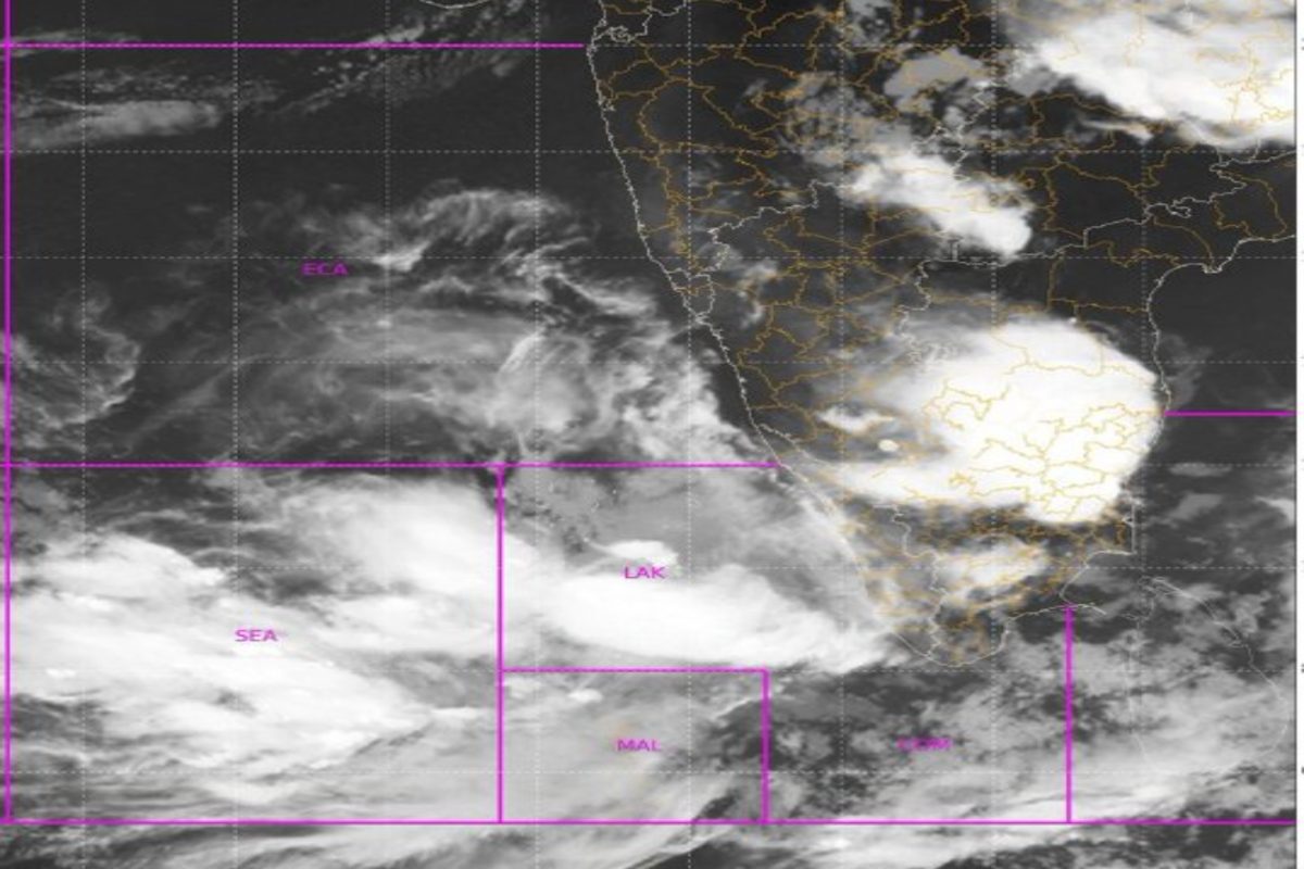 Weather update: राज्यात तीन दिवस वादळी वाऱ्यासह पावसाचा अंदाज 13 जिल्ह्यांना yellow alert