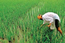 PM Kisan च्या पुढील हप्त्यासाठी eKYC अनिवार्य, मोबाईलवरुन असं करा अपडेट PM Kisan च्या पुढील हप्त्यासाठी eKYC अनिवार्य, मोबाईलवरुन असं करा अपडेट