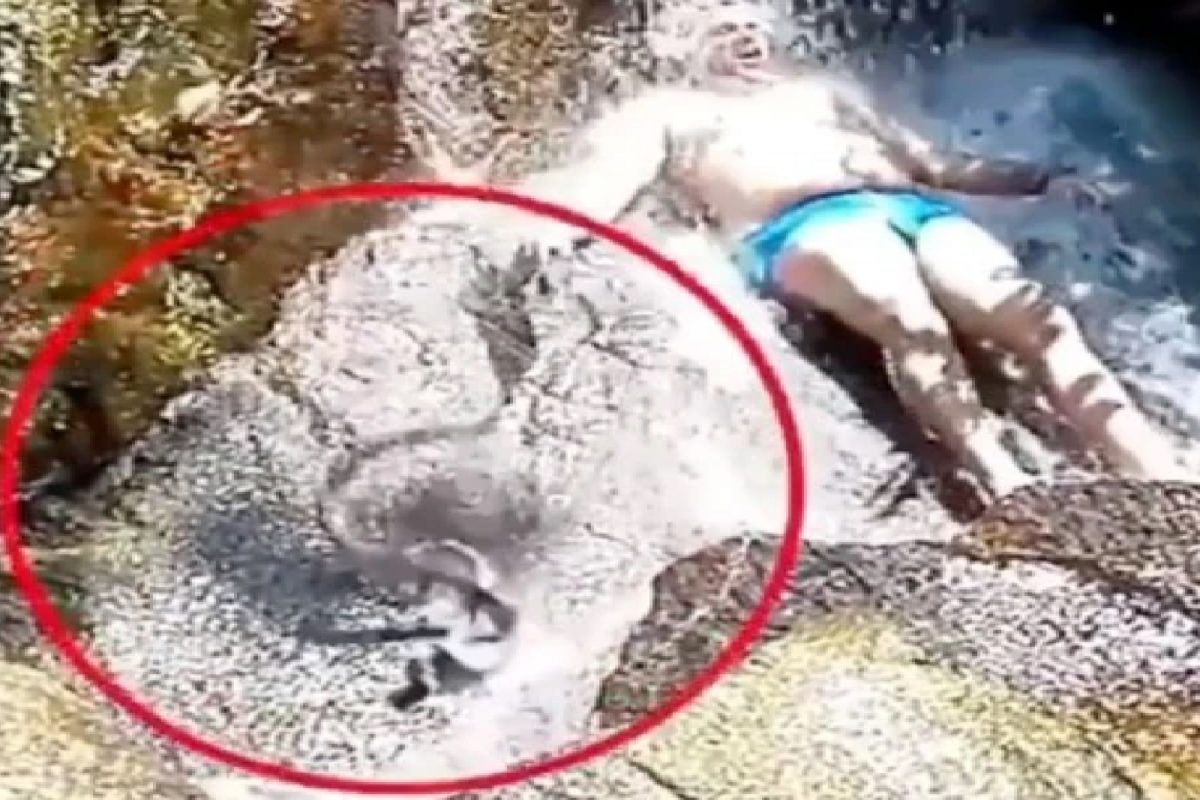 कपडे काढून वॉटरफॉलखाली झोपला, अचानक कोसळला साप आणि...; अंगावर काटा आणणारा VIDEO