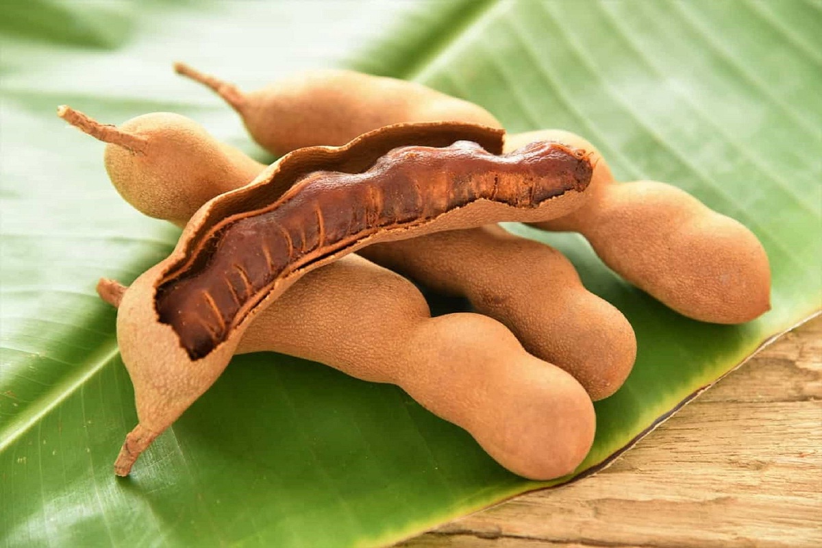 Tamarind leaf Tea: चिंचेच्या पानांचा चहा कधी घेतलाय का? हे फायदे समजल्यावर नक्की घ्याल