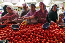 लालभडक दिलधडक टोमॅटोचा भाव झाला अचानक कडक, आजचा भाव 100 रूपये किलो लालभडक दिलधडक टोमॅटोचा भाव झाला अचानक कडक, आजचा भाव 100 रूपये किलो