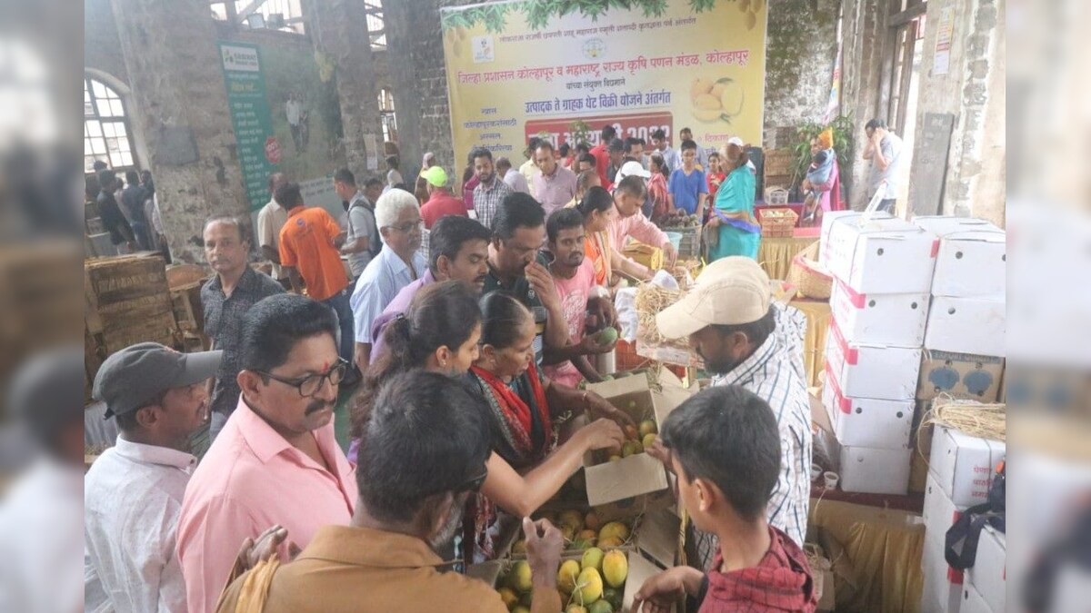 Sale of 22 metric tons of mangoes in three days at kolhapur mango