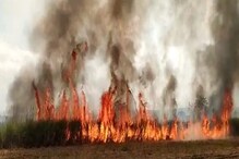 सातारा जिल्ह्यातील शेतकऱ्याने 20 महिन्यांनी उसाला तोड आल्याने ऊस दिला पेटवून सातारा जिल्ह्यातील शेतकऱ्याने 20 महिन्यांनी उसाला तोड आल्याने ऊस दिला पेटवून