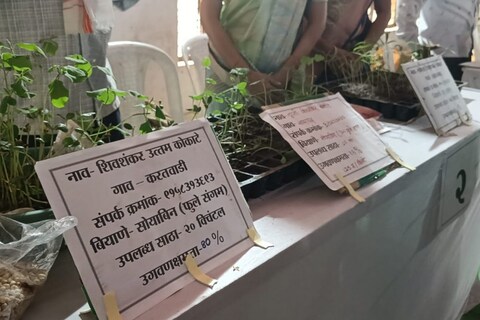या महोत्सवात चक्क बियाणे उगवणीचे प्रात्यक्षिकही... 