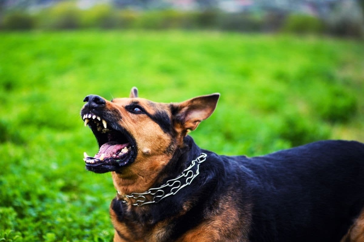 प्रतिकात्मक फोटो