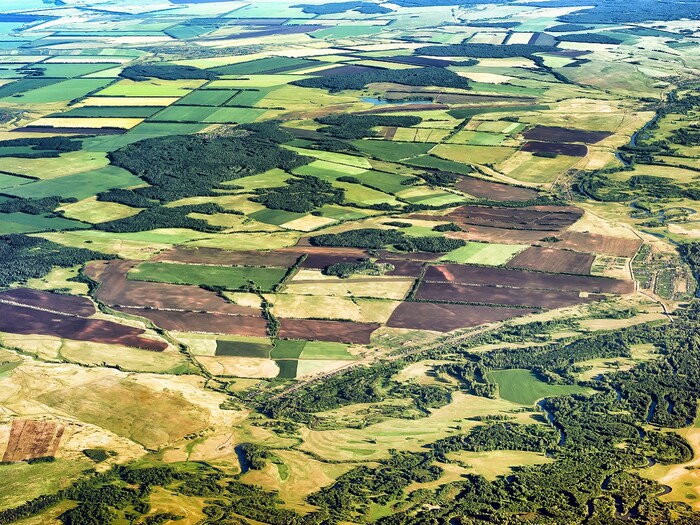 संशोधकांचे म्हणणे आहे की, आपण अंतराळातूनही (Space) कृषी उत्पादन (Crop production) मोजू शकतो, त्यामुळे हे वायू शेतीच्या विविध क्षेत्रांवर कसा परिणाम करतात हे जाणून घेण्याची संधी मिळते. नायट्रोजन डाय ऑक्साईडची (Nitrogen oxides) तुलना जगाच्या विविध प्रदेशांतील शेतजमिनीच्या हिरवळीशी करताना संघाला सातत्याने नकारात्मक परिणाम आढळून आले. सर्वाधिक नुकसान चीनमध्ये झाले आहे, त्यासोबतच गव्हासारख्या हिवाळी पिकांचेही नुकसान झाले आहे. (प्रतिकात्मक फोटो: शटरस्टॉक)