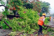 मान्सून येताच मुंबईत पाणी-पाणी, सोसाट्याचा वारा आणि पावसामुळे राज्यात अपघात, दोघांचा मृत्यू मान्सून येताच मुंबईत पाणी-पाणी, सोसाट्याचा वारा आणि पावसामुळे राज्यात अपघात, दोघांचा मृत्यू