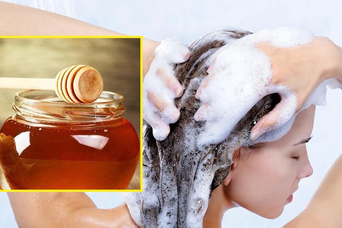 Honey shampoo: केसांसाठीही मध आहे उपयोगी; या 3 पद्धतीनं घरच्या घरी तयार करा मधाचा शॅम्पू