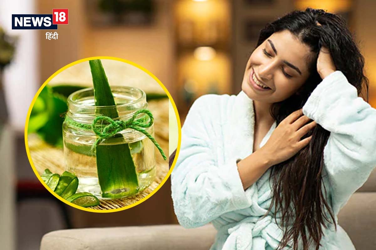 Aloe Vera oil: केस राहतील हेल्दी आणि शायनी; घरच्या-घरी असं बनवा केमिकल फ्री एलोवेरा ऑइल