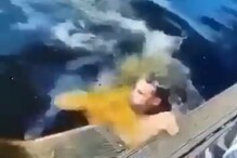 VIDEO - मगरी असलेल्या पाण्यात उतरला तरुण आणि...; भयावह दृश्य कॅमेऱ्यात कैद