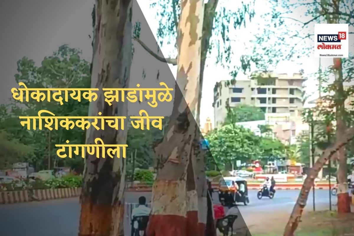 धोकादायक झाडे, नाशिक.