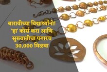 बारावी नुकतीच झालीय? 'हा' कोर्स करा अन् लगेच 30,000 रुपये पगार मिळवा : VIDEO 