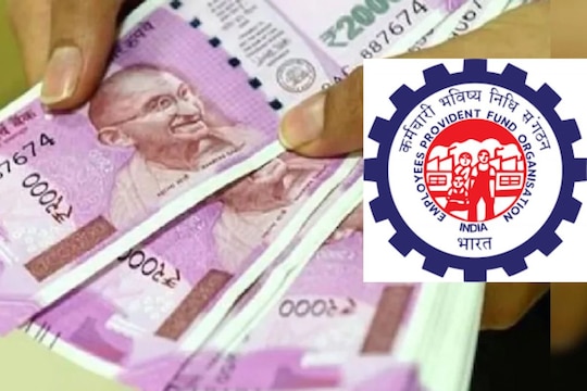 नोकरी सोडल्यानंतर किंवा बदलल्यानंतर PF चे पैसे काढून घ्यावे का? तुमचं किती नुकसान होऊ शकतं?