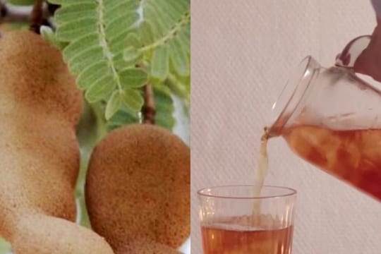 काय आहेत चिंचेच्या पानांचा चहा पिण्याचे फायदे? कोणासाठी ठरतो उपयुक्त?