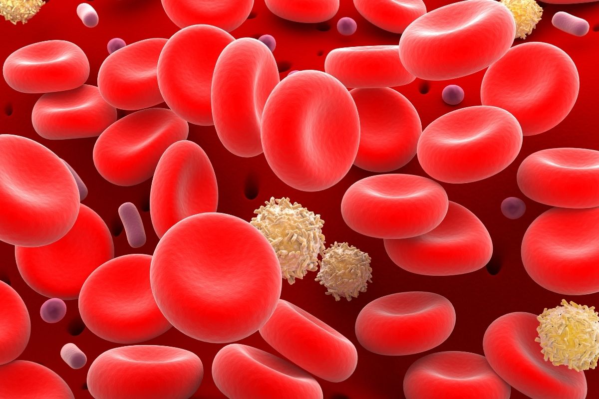 Oxygen in Blood | आता ऑक्सिजन थेट रक्तात टाकता येणार, काय होईल फायदा?