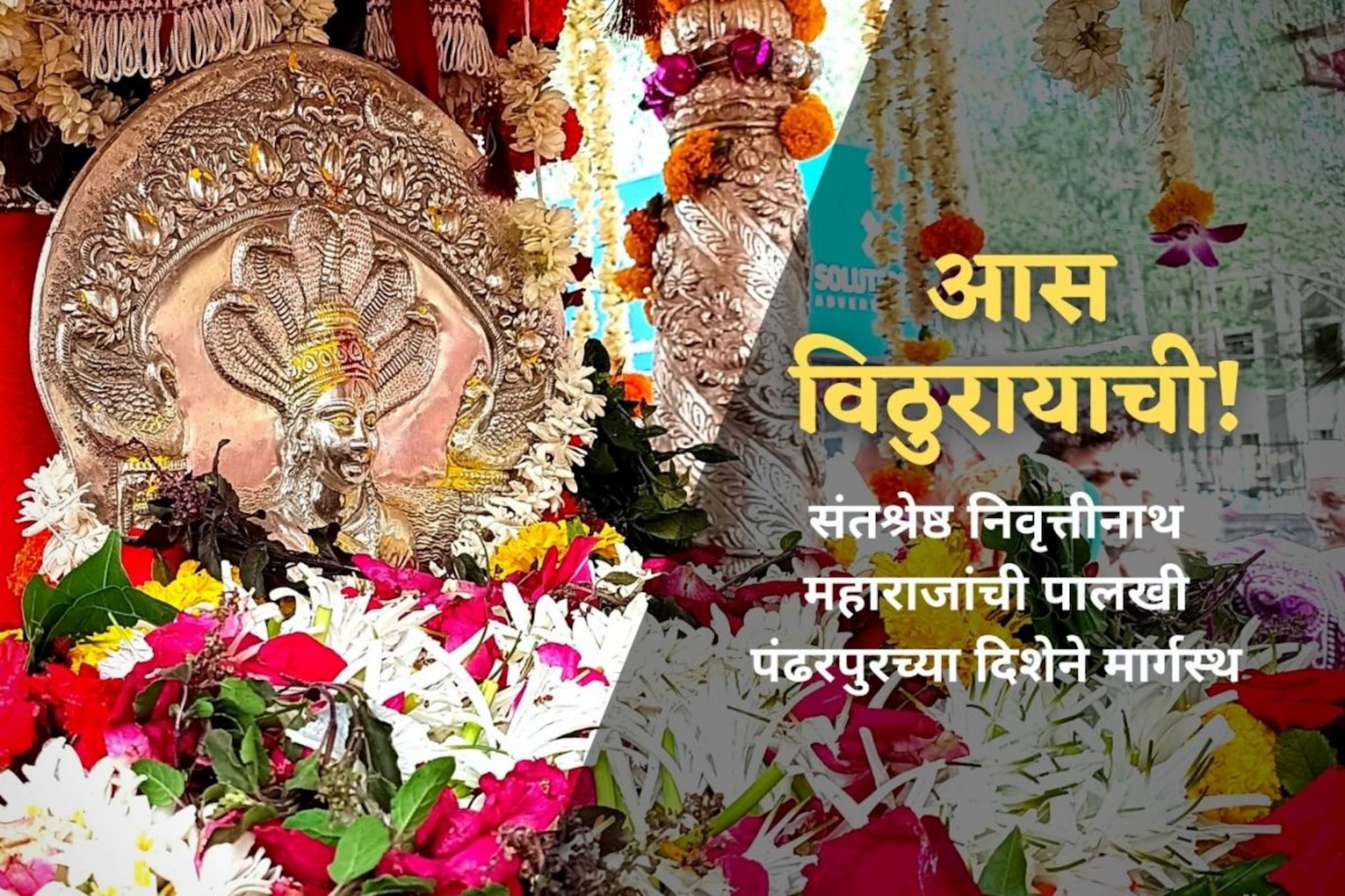 विठुरायाच्या नामघोषात संतश्रेष्ठ निवृत्तीनाथांची पालखी निघाली पंढरीला, VIDEO