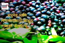 मधुमेहासाठी उपयुक्त असणाऱ्या जांभाळाचा वाढला भाव : VIDEO