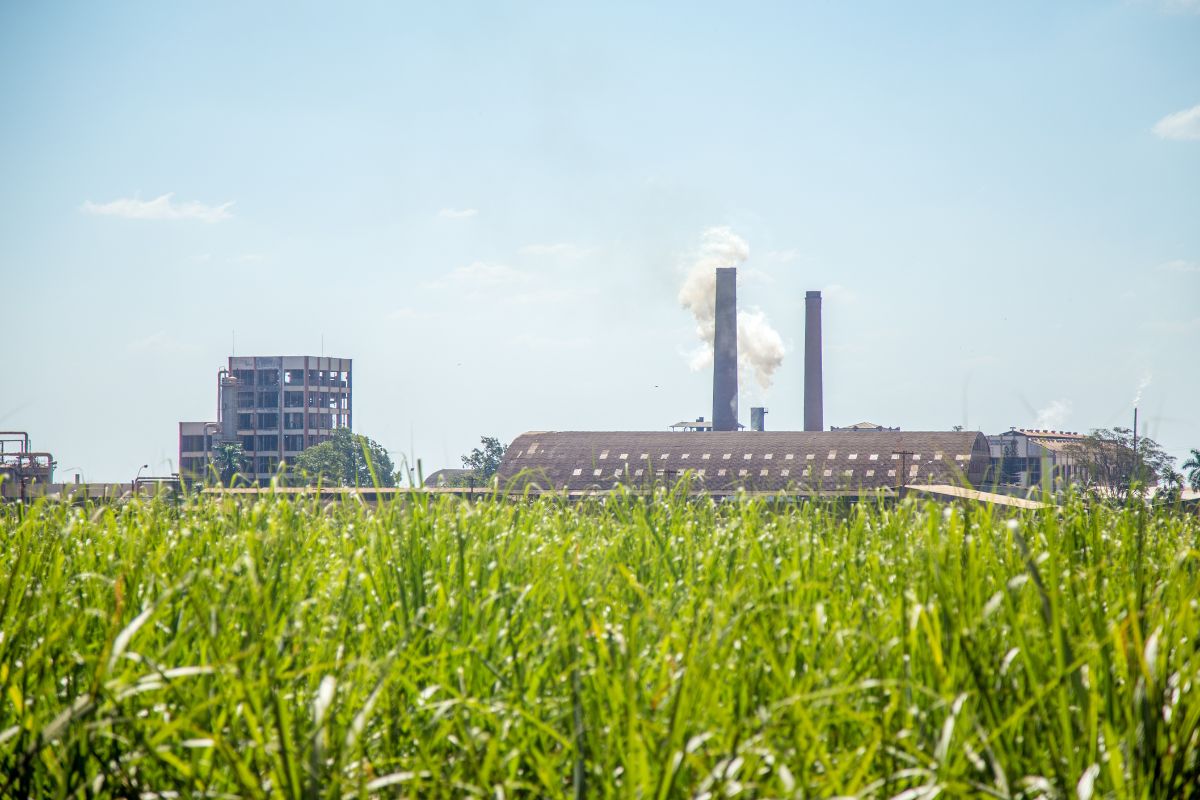 साखर निर्मितीत आता Green Technology! प्रोसेस पाहून कारखानदार म्हणतील आधी का नाही सांगितलं?