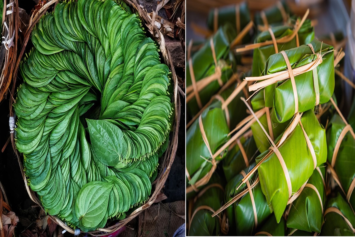 Business Idea: तुमची नोकरी गेलीय का? तर ‘या’ 3 पानांचा घरबसल्या करा व्यवसाय; होईल लाखोंची कमाई